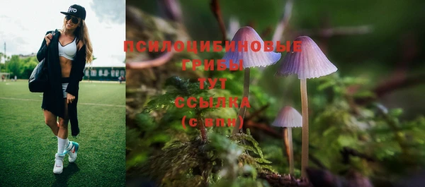 ПСИЛОЦИБИНОВЫЕ ГРИБЫ Беломорск