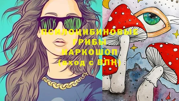 ПСИЛОЦИБИНОВЫЕ ГРИБЫ Беломорск