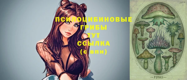 эйфоретик Богородицк
